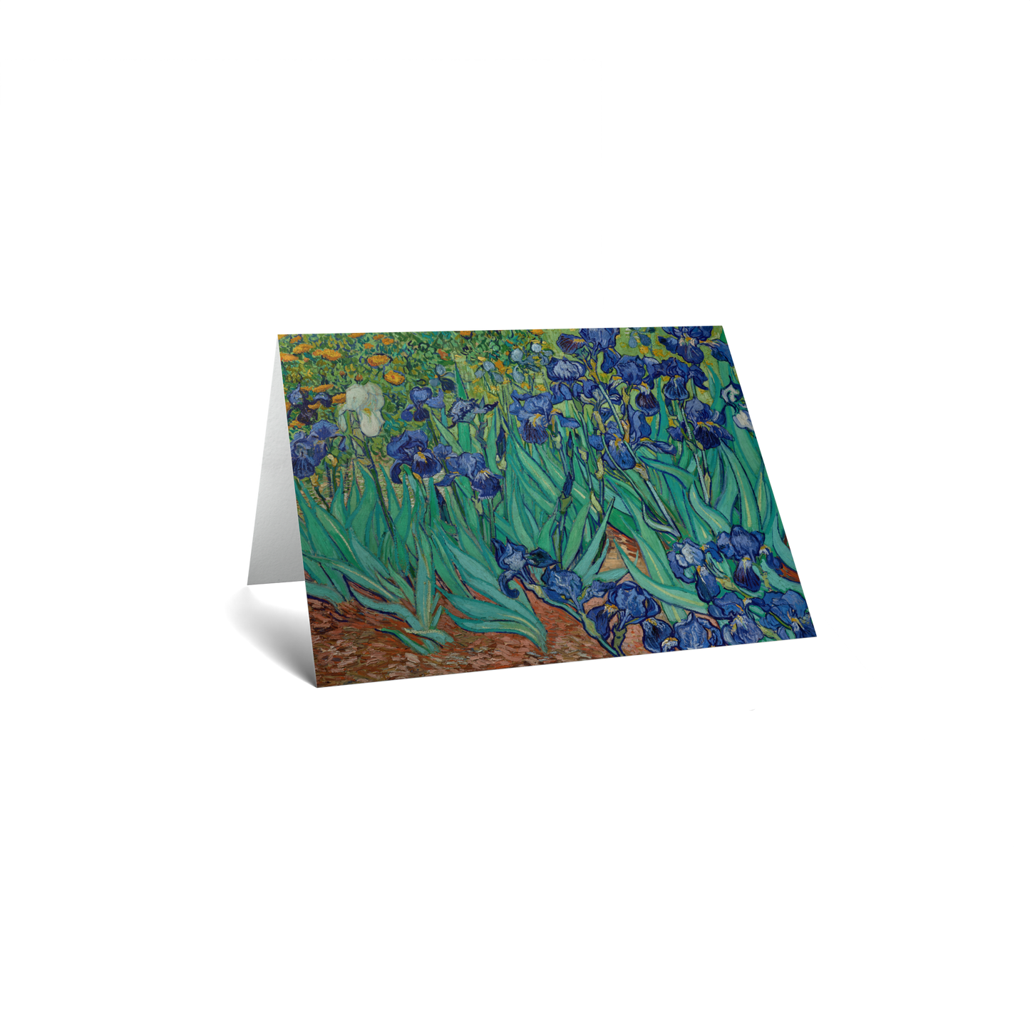 Irises by Vincent van Gogh
