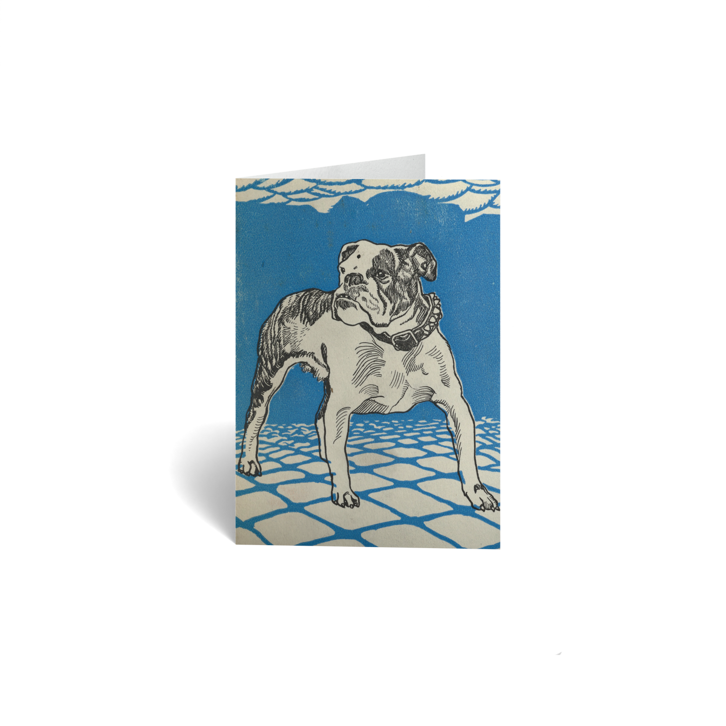 Bulldog by Moriz Jung