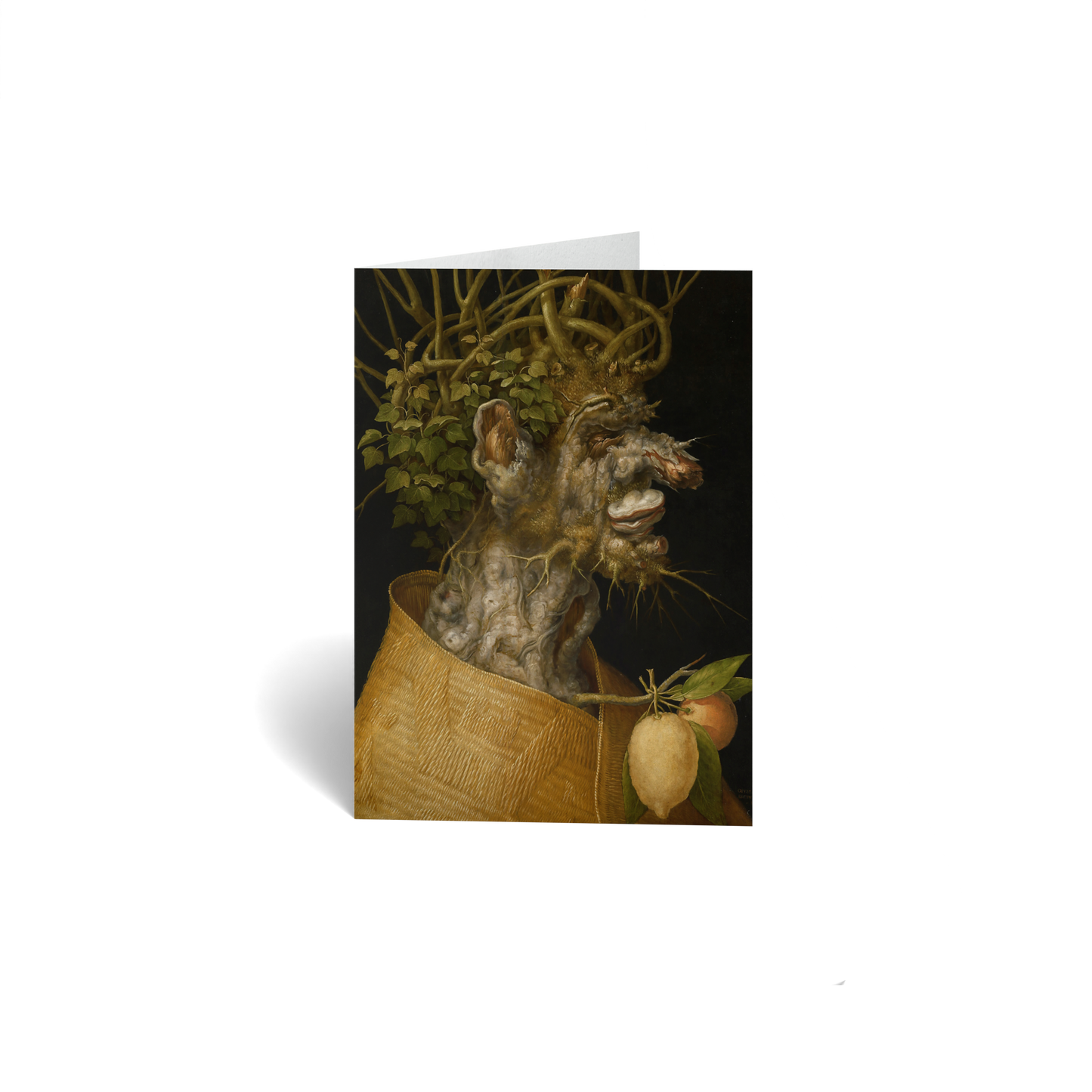 The Winter by Giuseppe Arcimboldo