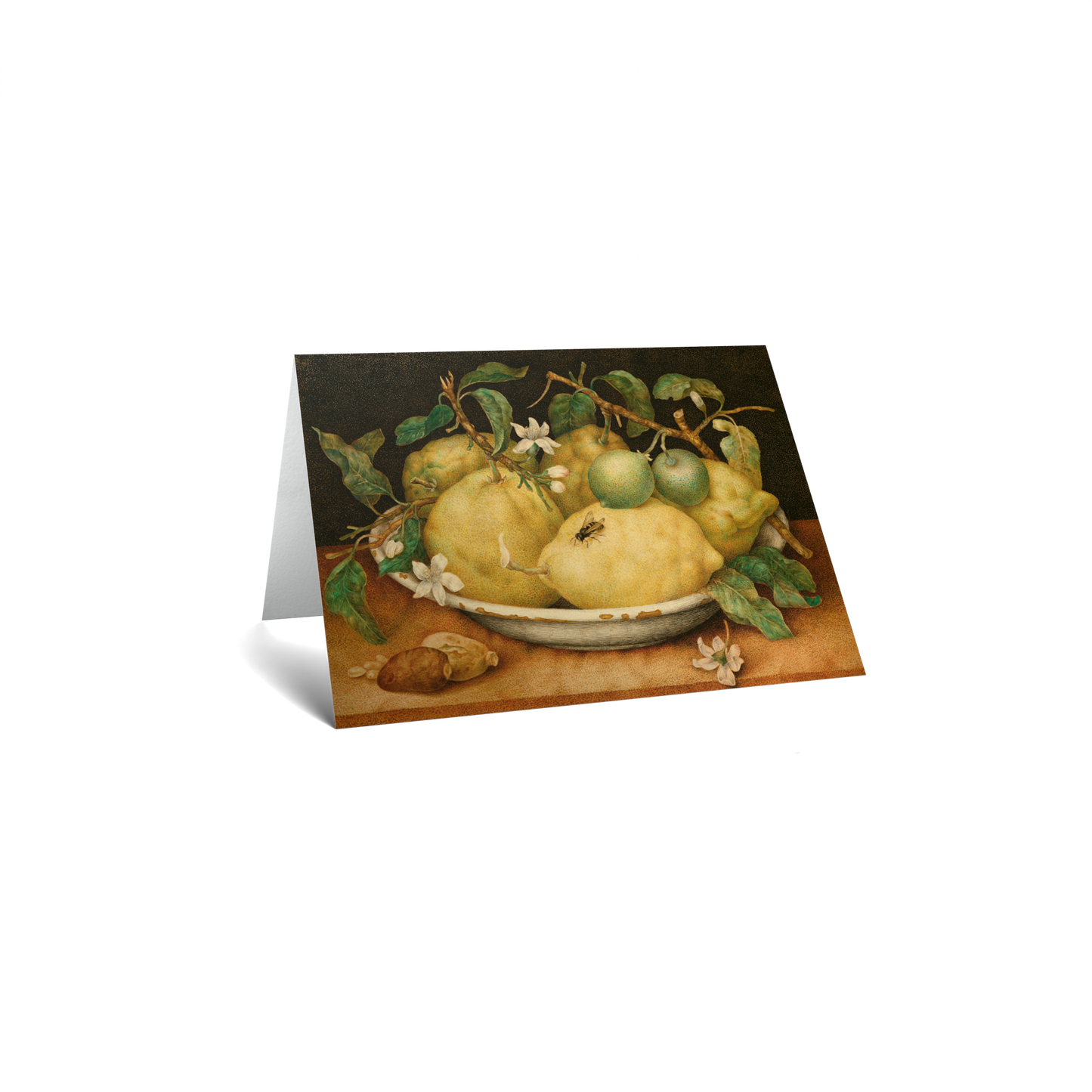 Still Life with a Bowl of Citrons by Giovanna Garzoni