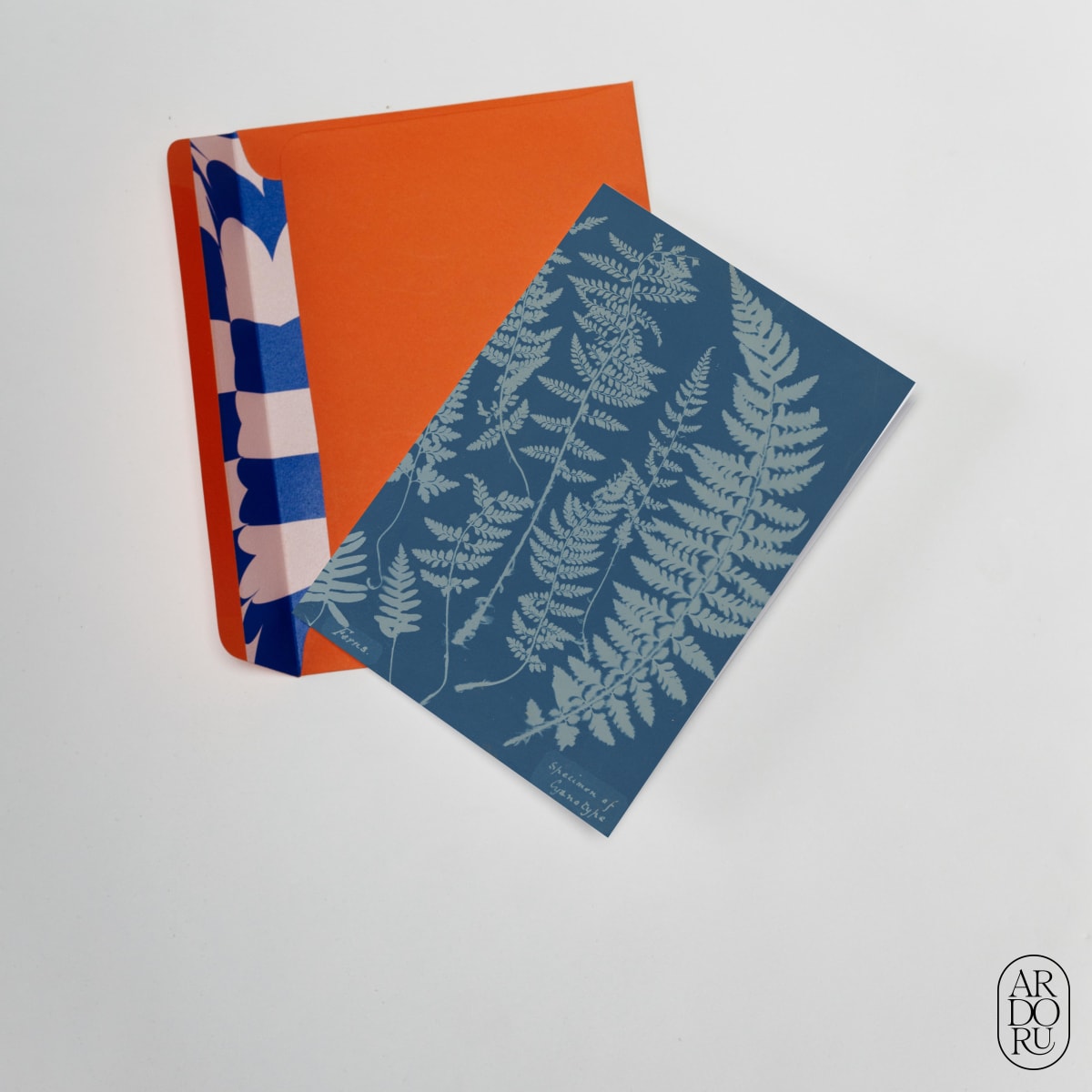 Ferns. Specimen of Cyanotype by Anna Atkins
