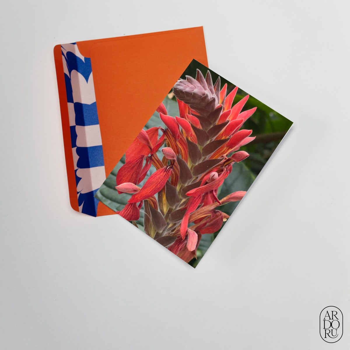 Love Keepsake Greeting Card - Iphone Zooms - Red Canna Flower