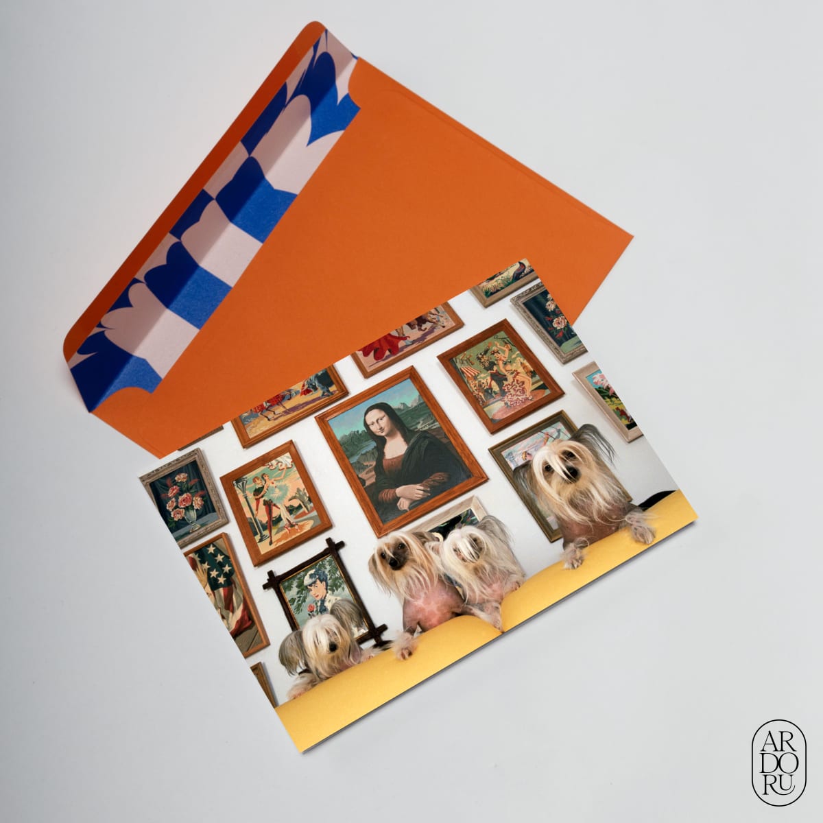 Pet Keepsake Greeting Card - Funny Dog Art Photography