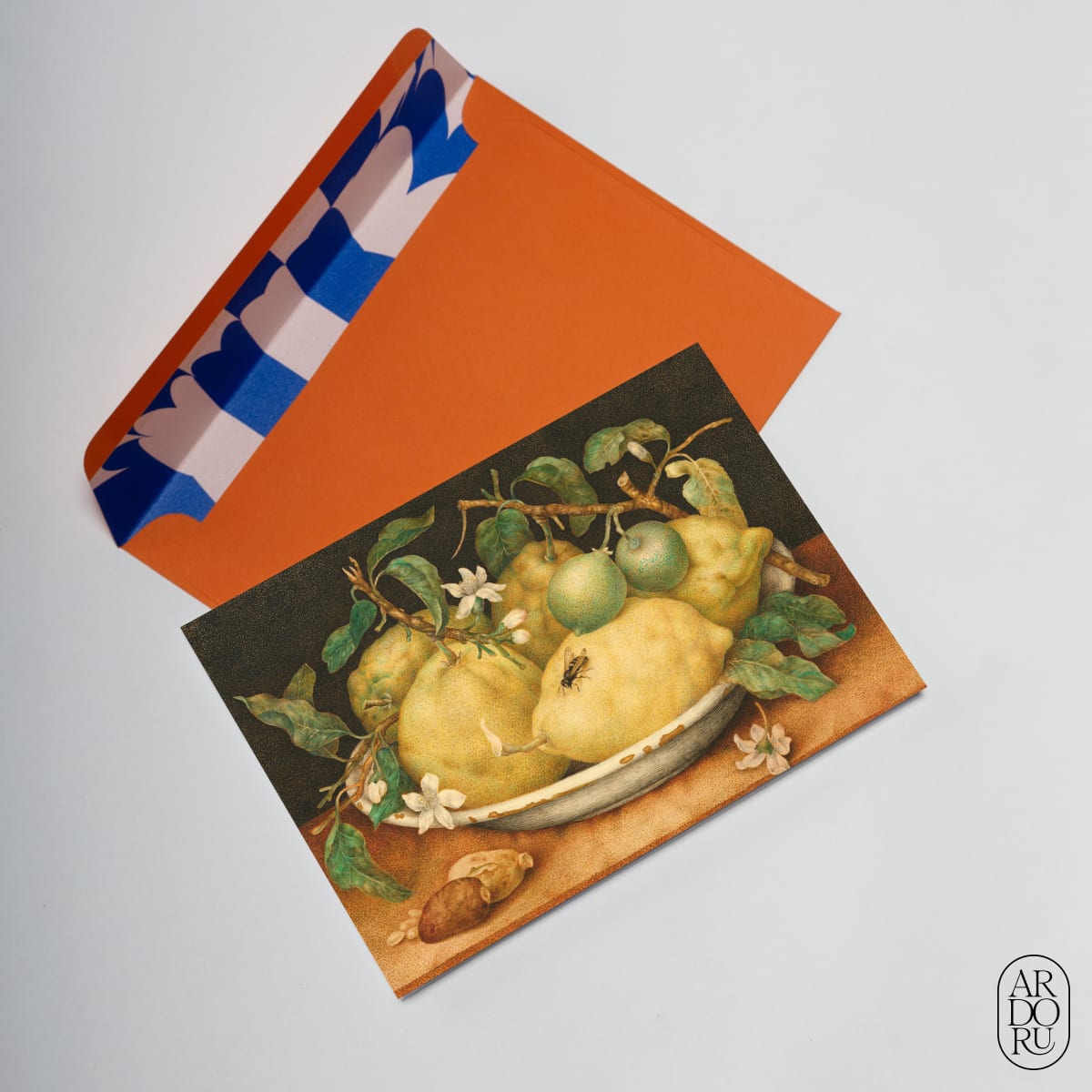 Still Life with a Bowl of Citrons by Giovanna Garzoni