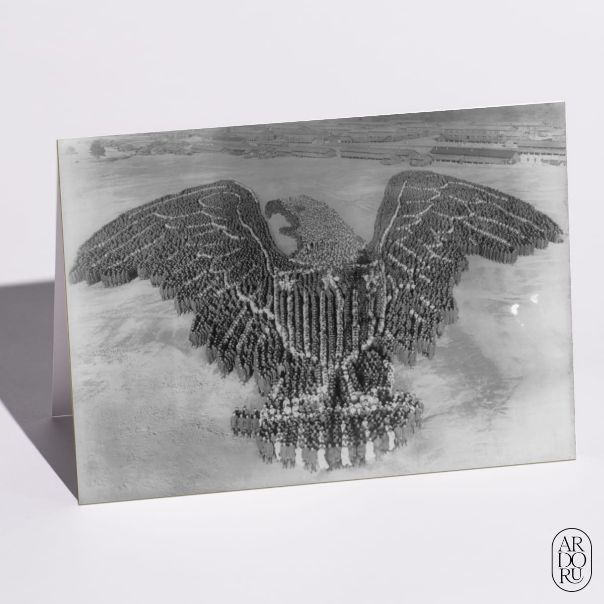 The Human American eagle by Arthur Jones and assistant Mole Thomas