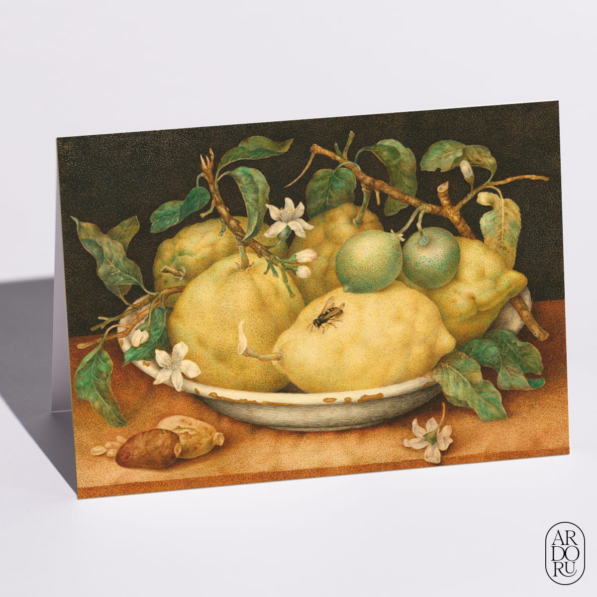 Still Life with a Bowl of Citrons by Giovanna Garzoni