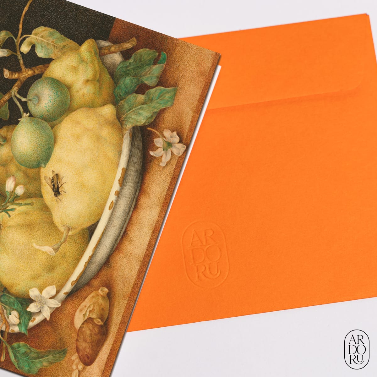 Still Life with a Bowl of Citrons by Giovanna Garzoni
