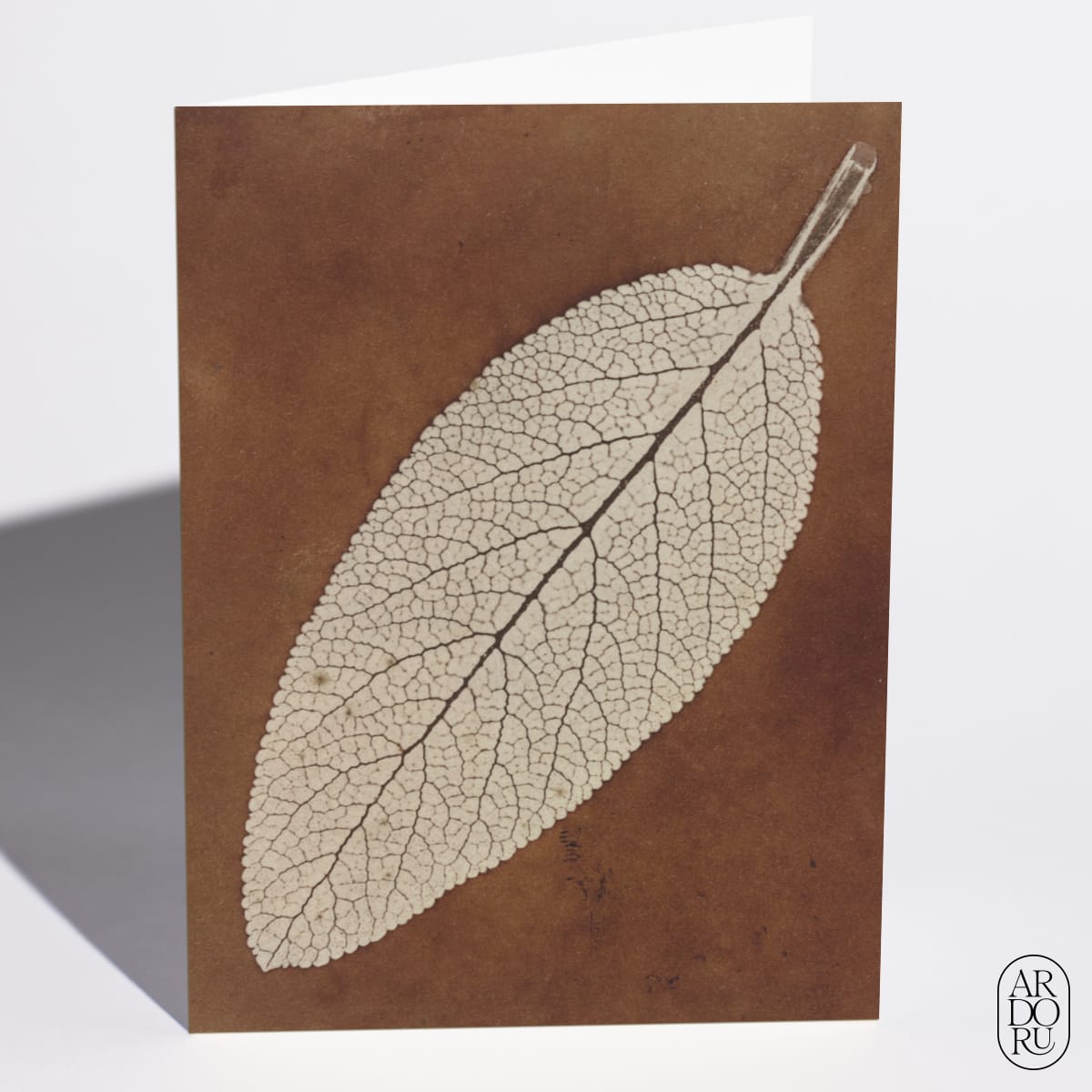 Leaf Study by William Henry Fox Talbot