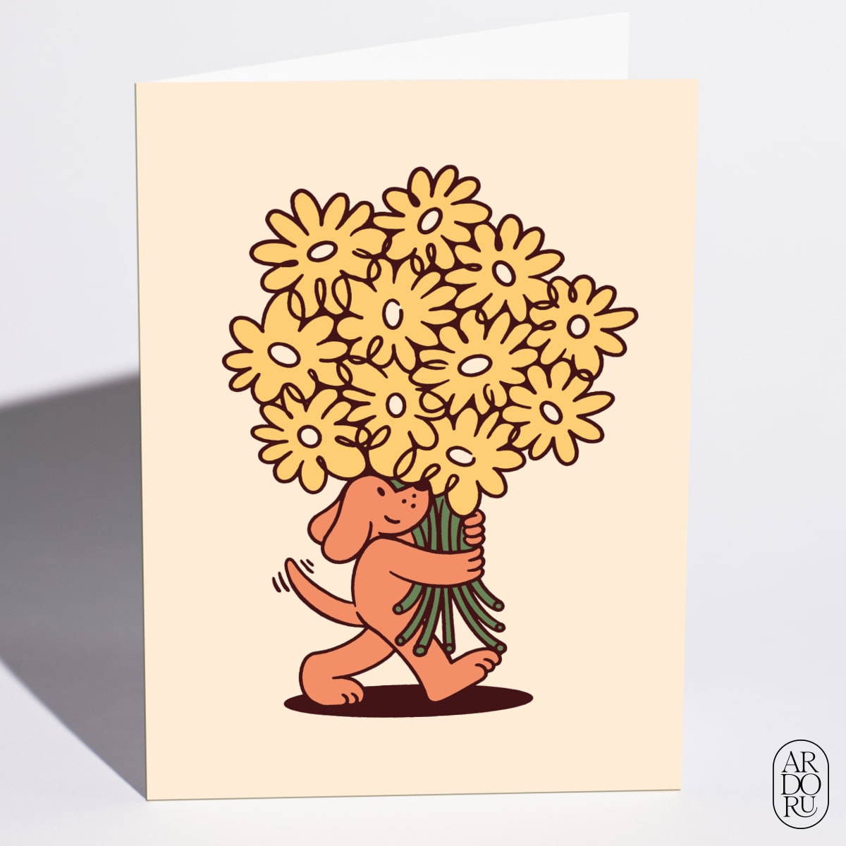 Flowers For You by Steve Gavan