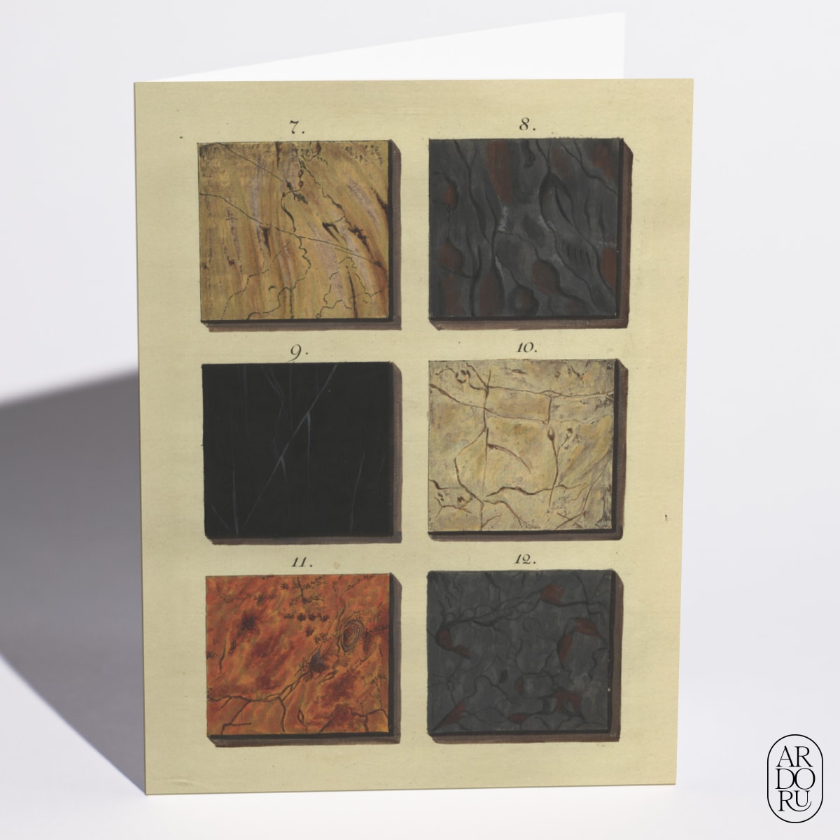 Marmora, Plate II by Adam Ludwig Wirsing