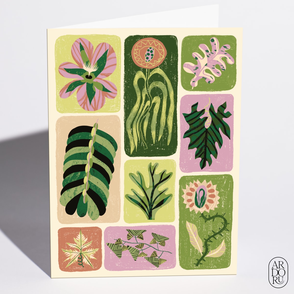 Modern Botany by Tom Abbiss Smith