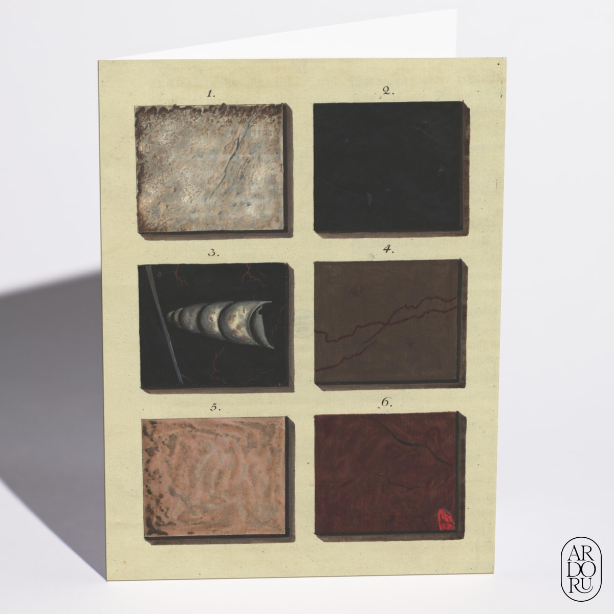 Marmora, Plate I by Adam Ludwig Wirsing