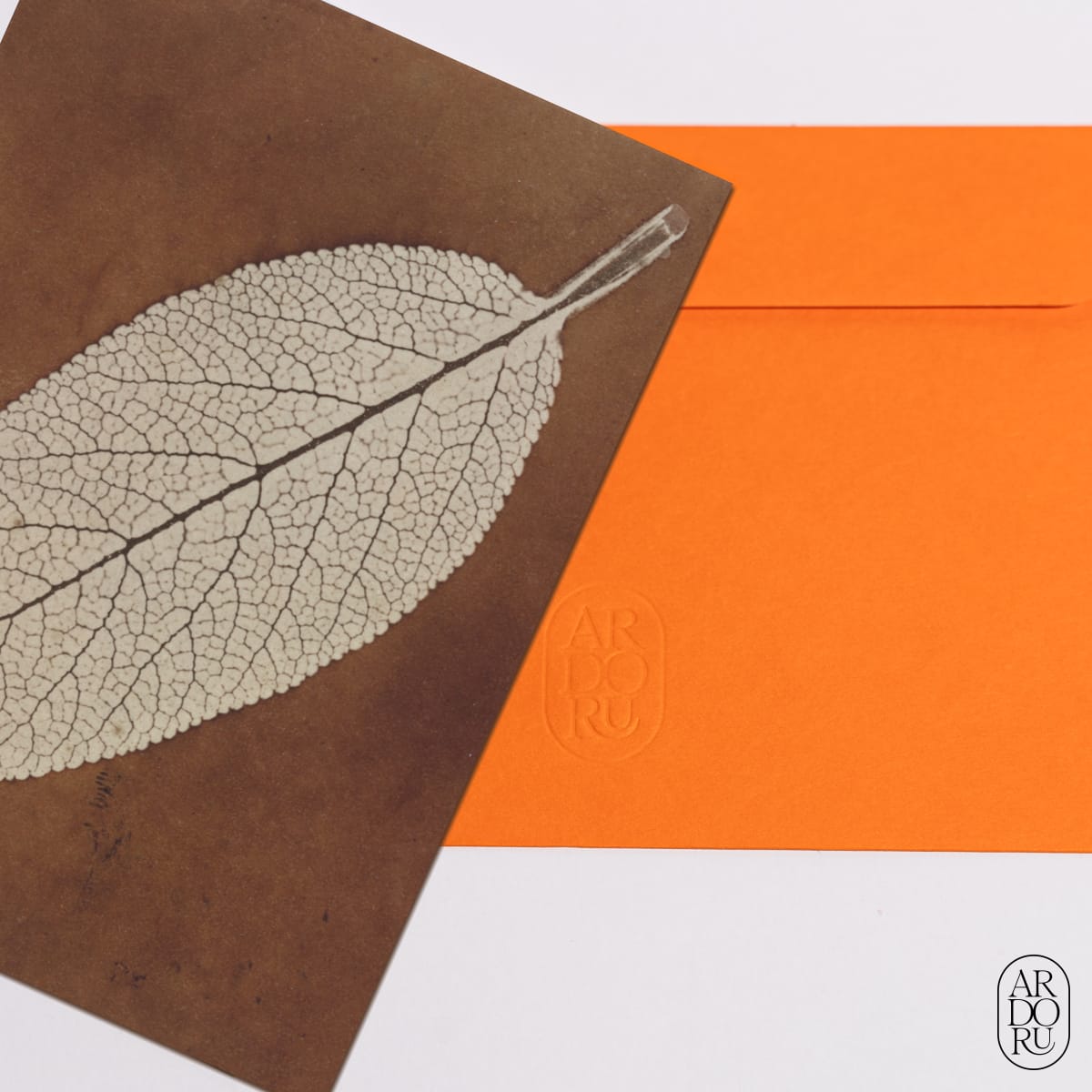 Leaf Study by William Henry Fox Talbot